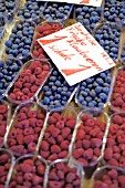 RASPBERRIES AND BLUEBERRIES