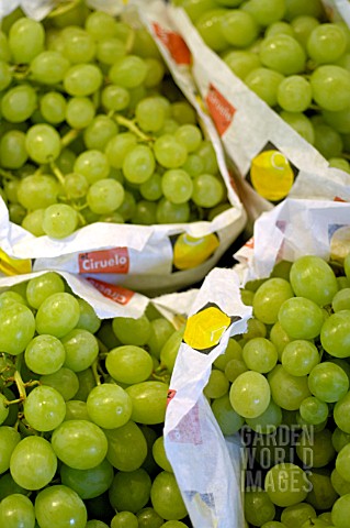 GRAPES