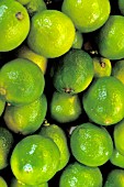 LIMES