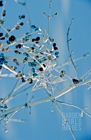 ORNAMENTAL_TWIGS_WITH_BEADS_AND_BERRIES