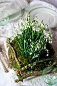 TABLE DECORATION WITH GALANTHUS