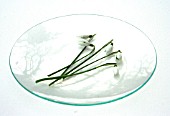 GALANTHUS (SNOWDROPS) ON A GLASS PLATE