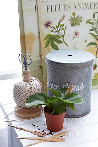 KITCHEN_GARDEN_SCENE_WITH_WOODEN_PLANT_LABELS