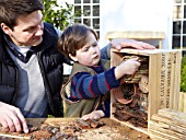 INSECT HOUSE BUILDING PROJECT WITH FATHER AND SON.  PLACING BAMBOO BUNDLE INTO BOX.  STEP 31