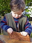 INSECT HOUSE BUILDING PROJECT WITH FATHER AND SON.  BREAKING BARK INTO SMALLER PIECES FOR PLACING IN THE BOX.  STEP 20