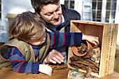 INSECT HOUSE BUILDING PROJECT WITH FATHER AND SON.  FILLING GAPS IN THE BOX WITH BARK.  STEP 18