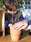 INSECT HOUSE BUILDING PROJECT WITH FATHER AND SON.  FIRMING CONES INTO THE POT.  STEP 12