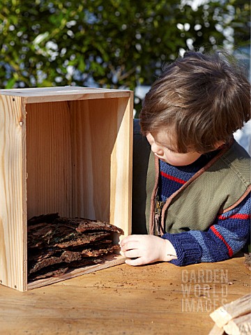INSECT_HOUSE_BUILDING_PROJECT_WITH_FATHER_AND_SON__CHILD_PLACING_BARK_IN_BOX__STEP_6