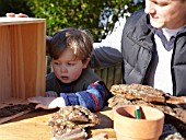 INSECT HOUSE BUILDING PROJECT WITH FATHER AND SON.  CHILD PLACING BARK IN BOX.  STEP 5