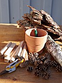 INSECT HOUSE BUILDING PROJECT WITH FATHER AND SON.  MATERIALS READY FOR MAKING BUG HOTEL.  STEP 4