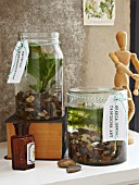 AQUATIC PLANTS IN SPECIMEN JARS