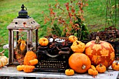 DECORATIVE PUMPKINS WITH LEAF PATTERN ON OLD TABLE WITH LANTERN AND TYPEWRITER