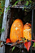 DECORATIVE OWL PUMPKINS