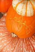 DECORATIVE PUMPKINS