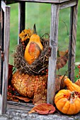 SQUASH PAINTED WITH ROBIN INSIDE OLD LANTERN