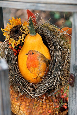 SQUASH_PAINTED_WITH_ROBIN_AND_PLACED_IN_BIRDS_NEST