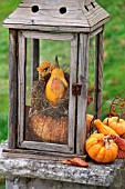 SQUASH PAINTED WITH ROBIN INSIDE OLD LANTERN