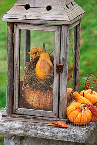SQUASH_PAINTED_WITH_ROBIN_INSIDE_OLD_LANTERN
