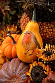 SQUASH PAINTED WITH ROBIN WITH DRIED SUNFLOWERS