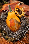 SQUASH PAINTED WITH ROBIN AND PLACED IN BIRDS NEST