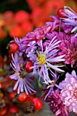 DETAIL OF ARRANGEMENT OF CHRYSANTHEMUM AND ROSE HIPS.