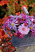 OLD GALVANISED BUCKET WITH CHRYSANTHEMUM AND ROSE HIPS.