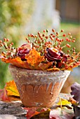 AUTUMN ARRANGEMENT IN TERRACOTTA POT