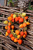 PHYSALIS DECORATIVE RING