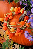 AUTUMN ARRANGEMENT