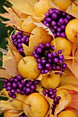 AUTUMN ARRANGEMENT DETAIL OF LEAVES AND BERRIES