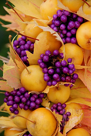 AUTUMN_ARRANGEMENT_DETAIL_OF_LEAVES_AND_BERRIES