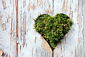 HEART CUT OUT IN OLD WOODEN DOOR