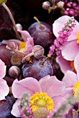 AUTUMN ARRANGEMENT WITH ANEMONE  CALLUNA AND CORYLUS AVELLANA PURPUREA AND PLUMS