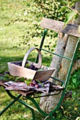 WOODEN BASKET WITH PLUMS