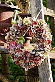 HYDRANGEA WREATH HANGS ON A WOODEN LADDER