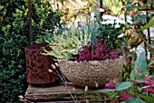 CERAMIC PLANTERS WITH BLUE FESCUE AND WHITE ASTERS