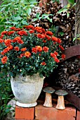 CHRYSANTHEMUM AND CERAMIC MUSHROOMS