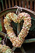 A HYDRANGEA HEART