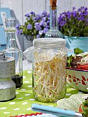 UPCYCLING OLD JAM JARS FOR FOOD STORAGE OF BEANSHOOTS