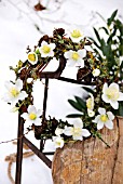 FESTIVE WREATH WITH HELLEBORUS