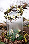 FESTIVE WREATH WITH HELLEBORUS