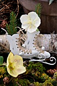 DECORATIVE SKATES DECORATED WITH SPRUCE BRANCHES AND HELLEBORES