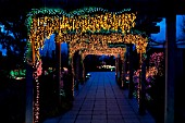 PERGOLA COVERED WITH WISTERIA MADE FROM THOUSANDS OF COLORED LIGHTS, GARDEN DLIGHTS, BELLEVUE, WASHINGTON