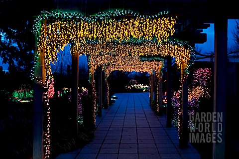 PERGOLA_COVERED_WITH_WISTERIA_MADE_FROM_THOUSANDS_OF_COLORED_LIGHTS_GARDEN_DLIGHTS_BELLEVUE_WASHINGT