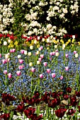 MIXED LATE SPRING BORDER