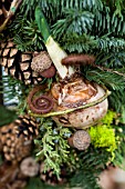 DECORATIVE HOLIDAY WREATH WITH FORCING NARCISSUS BULB, ACORNS, CONES, FIR AND CEDAR BOUGHS