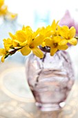 FORSYTHIA BRANCHES IN BLUE GLASS VASE