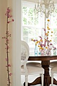 BRANCHES OF FORSYTHIA AND BLIREIANA PLUM BLOSSOM IN GLASS VASES