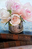 ROSA ESPERANCE IN ANTIQUE SILVER VASE WITH ANTIQUE BOOKS