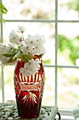 PRUNUS MT. FUJI, WHITE CHERRY BLOSSOM IN VASE